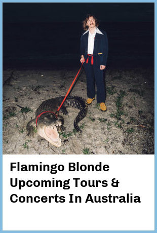 Flamingo Blonde Upcoming Tours & Concerts In Australia