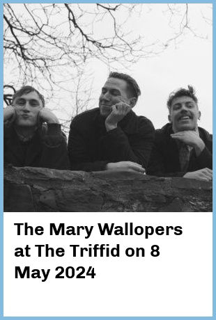 The Mary Wallopers at The Triffid in Brisbane