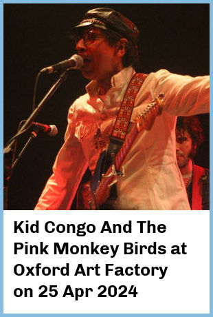 Kid Congo And The Pink Monkey Birds at Oxford Art Factory in Sydney