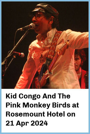 Kid Congo And The Pink Monkey Birds at Rosemount Hotel in Perth