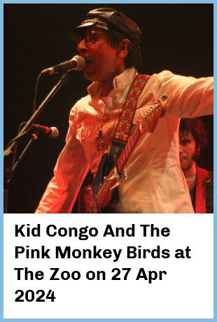 Kid Congo And The Pink Monkey Birds at The Zoo in Fortitude Valley