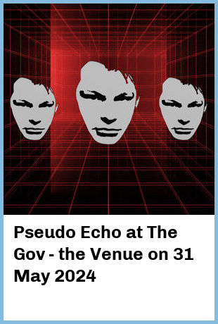 Pseudo Echo at The Gov - the Venue in Hindmarsh