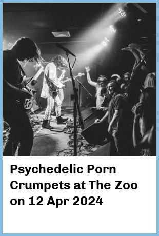 Psychedelic Porn Crumpets at The Zoo in Fortitude Valley