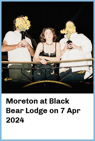 Moreton at Black Bear Lodge in Brisbane