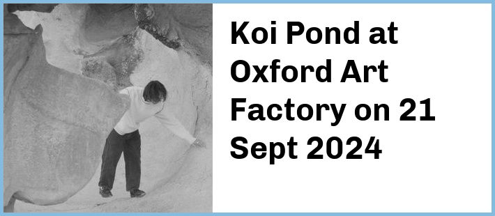 Koi Pond at Oxford Art Factory in Sydney