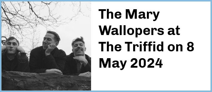 The Mary Wallopers at The Triffid in Brisbane