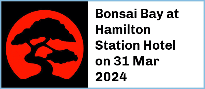 Bonsai Bay at Hamilton Station Hotel in Newcastle