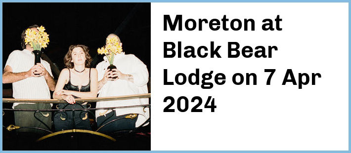 Moreton at Black Bear Lodge in Brisbane