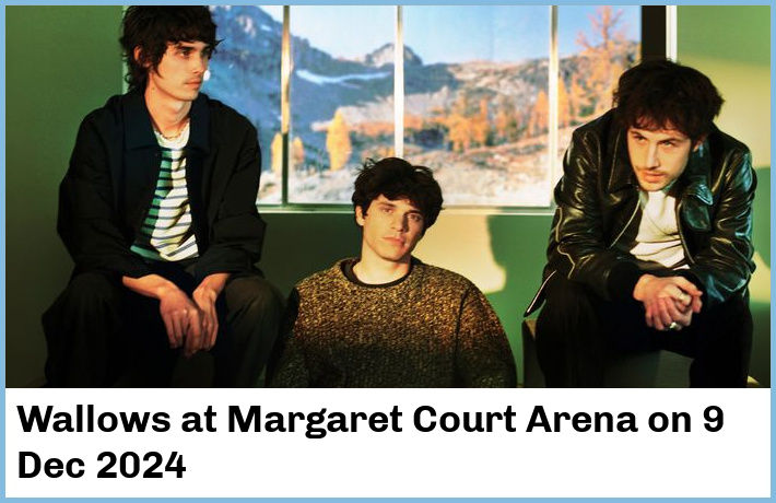 Wallows | Margaret Court Arena | 9 Dec 2024