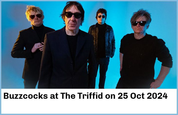 Buzzcocks | The Triffid | 25 Oct 2024