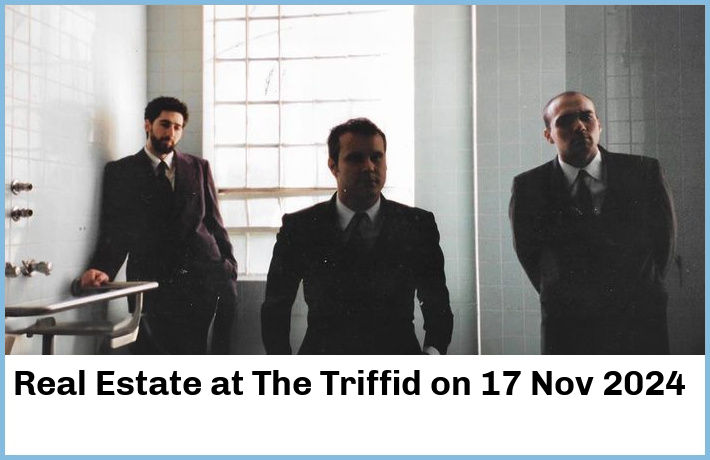 Real Estate | The Triffid | 17 Nov 2024