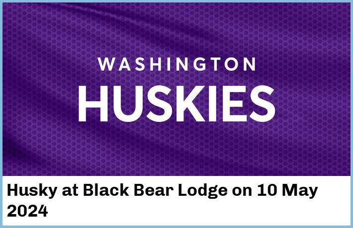 Husky | Black Bear Lodge | 10 May 2024