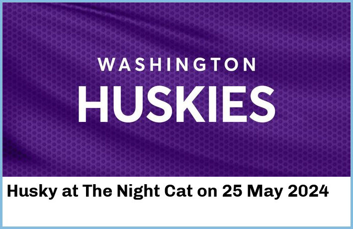 Husky | The Night Cat | 25 May 2024