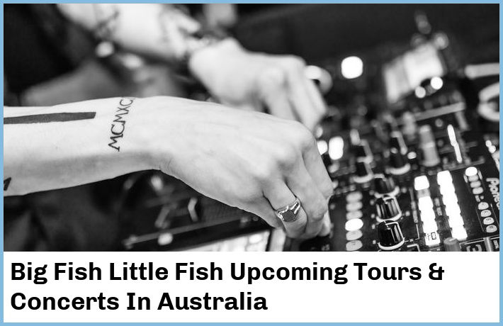 Big Fish Little Fish Upcoming Tours & Concerts In Australia