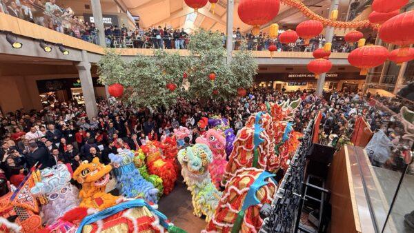 Bellevue中国新年庆典  数千家庭齐聚迎马年