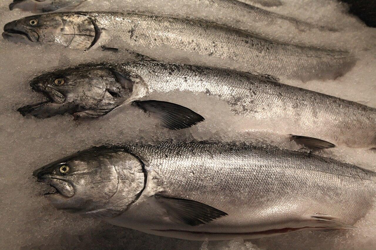 派克市場拋魚攤