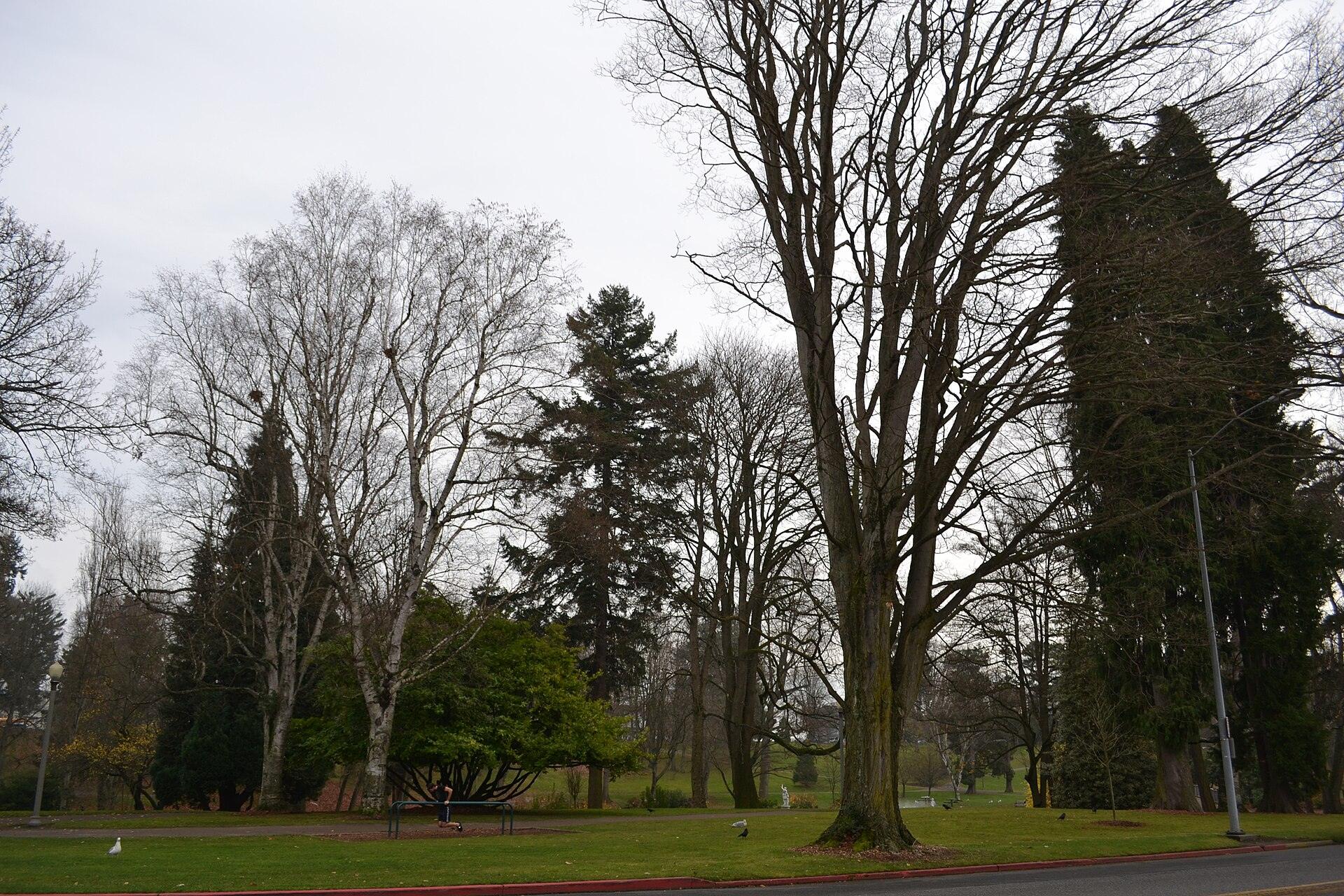 Wright Park