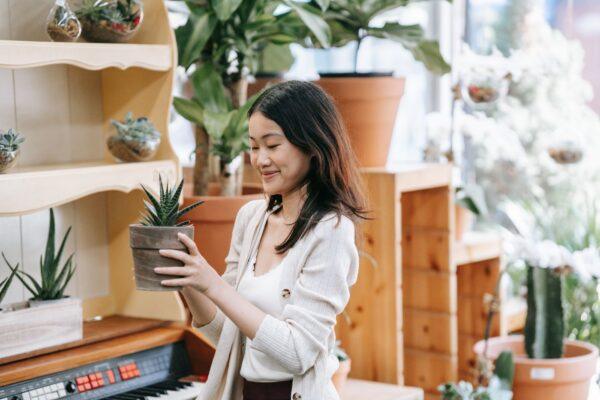 最能带来价值的美国十所公立和私立大学