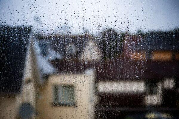 西雅图雨季验房红旗：看房必查的潮湿、漏水、发霉与排水隐患