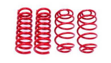 Picture for category Lowering Springs