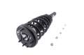 Picture of KYB Shocks & Struts Strut Plus Front Right HONDA Accord 2002-1998