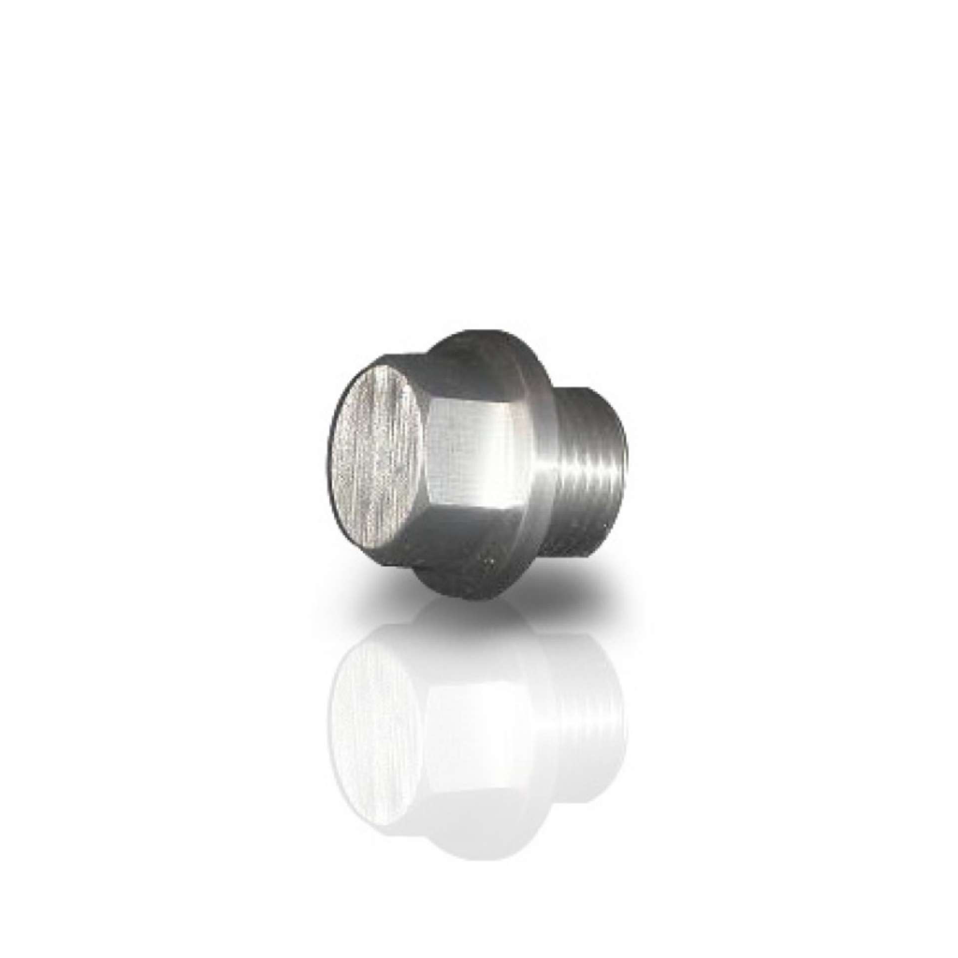 Picture of Stainless Works O2 Bung Plug