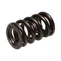 Picture of Manley NexTek Series 1-580 OD -832 ID -730 Lift Oval Track and Endurance Valve Springs