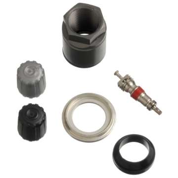 Picture of Schrader TPMS Service Pack - Volkswagen - 25 Pack