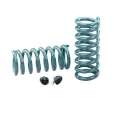 Picture of Hotchkis 64-66 GM A-Body Small Block Performance Front-Rear Coil Springs Set