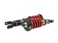 Picture of Skunk2 92-95 Honda Civic - 94-01 Acura Integra Pro-ST Coilovers Front 10 kg-mm - Rear 10 kg-mm