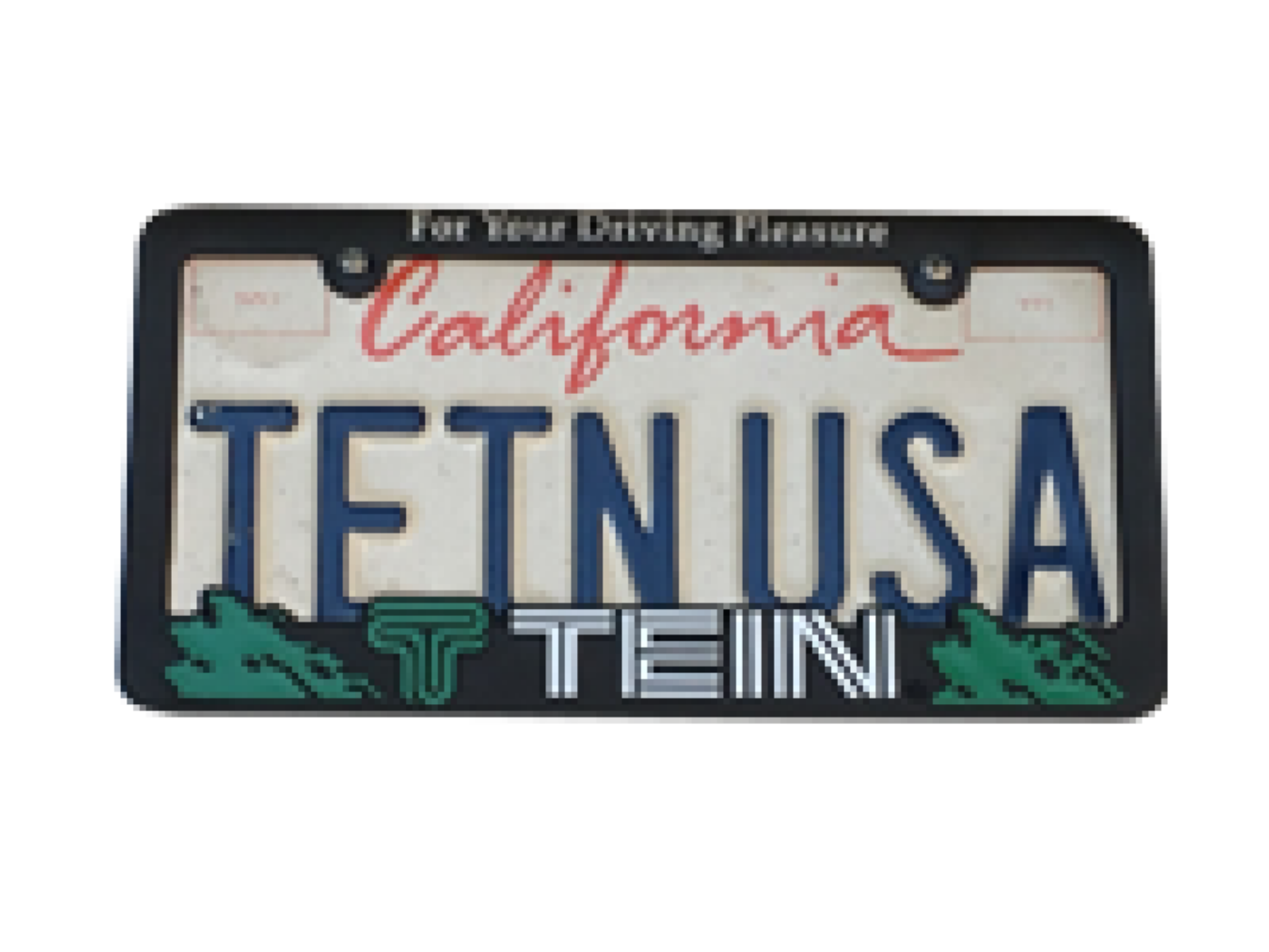 Picture of Tein License Plate Frame