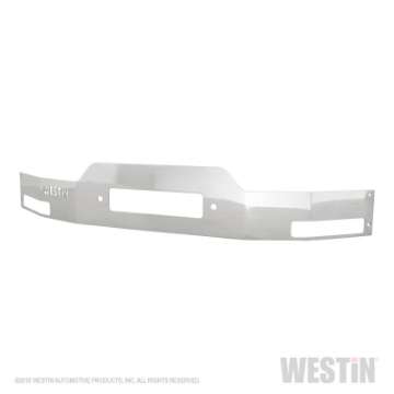 Picture of Westin 2009-2017 Ford F-150 MAX Winch Tray Face Plate - SS