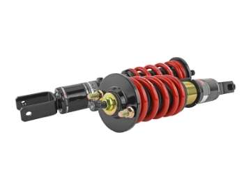 Picture of Skunk2 96-00 Honda Civic Pro-ST Coilovers Front 10 kg-mm - Rear 10 kg-mm