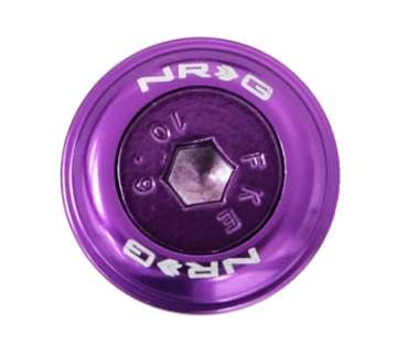 Picture of NRG Fender Washer Kit w-Color Matched M6 Bolt Rivets For Plastic Purple - Set of 10