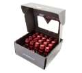 Picture of NRG 700 Series M12 X 1-5 Steel Lug Nut w-Dust Cap Cover Set 21 Pc w-Locks & Lock Socket - Red