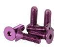 Picture of NRG Steering Wheel Screw Upgrade Kit Conical - Purple