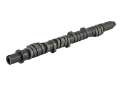 Picture of Skunk2 Tuner Series D-Series Honda Stage 4 Camshaft