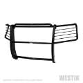 Picture of Westin 2019 Chevrolet Silverado 1500 Sportsman Grille Guard - Black