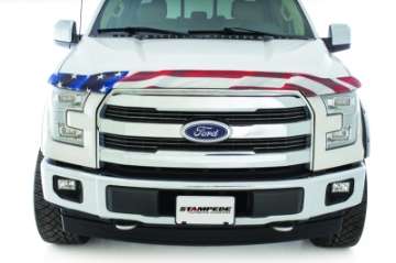 Picture of Stampede 2009-2014 Ford F-150 Excludes Raptor Model Vigilante Premium Hood Protector - Flag