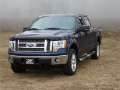 Picture of Stampede 2009-2014 Ford F-150 Excludes Raptor Model Vigilante Premium Hood Protector - Smoke