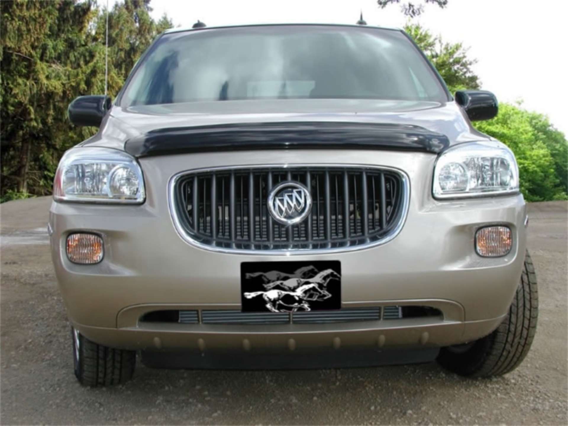 Picture of Stampede 2005-2008 Buick Terraza Vigilante Premium Hood Protector - Smoke