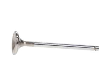 Picture of Manley 01+ Acura RSX Type S K20A2 30-0mm Race Master Exhaust Valves - Single