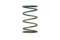 Picture of Turbosmart WG40 10PSI Outer Spring Brown-Blue