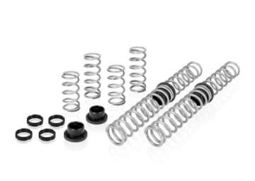 Picture of Eibach Pro-UTV 18-19 Textron Wildcat XX w- OE Fox Shocks Stage 2 Performance Springs