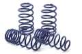 Picture of H&R 98-02 Honda Accord 2-4 Door 4 Cyl OE Sport Spring