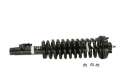 Picture of KYB Shocks & Struts Strut Plus Front Right HONDA Accord 1994-97