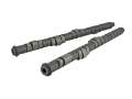 Picture of Skunk2 Tuner Series Honda H22A-F20B DOHC VTEC Stage 2 Cam Shafts