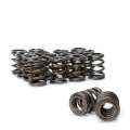 Picture of Skunk2 Tuner Series Honda-Acura B16A- B17A- B18C DOHC VTEC Alpha Valve Spring Set Dual Springs