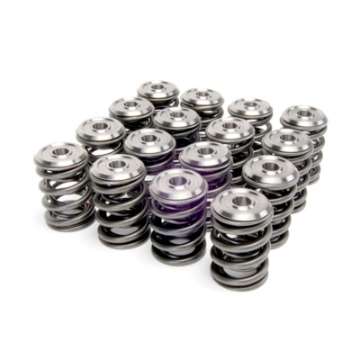 Picture of Skunk2 Alpha Series Honda-Acura K Series Valve Spring and Titanium Retainer Kit