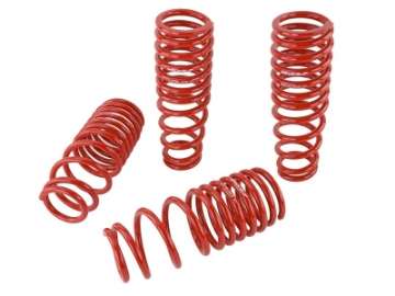 Picture of Skunk2 96-00 Honda Civic Lowering Springs 2-50in - 2-25in- Set of 4